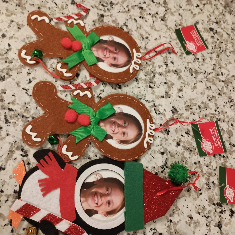 Christmas Photo Ornaments Set NEW